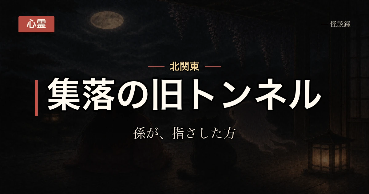 実家の裏のトンネルで孫が見たもの