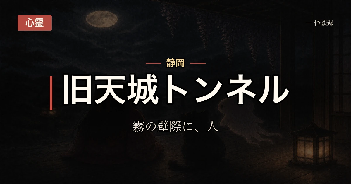 静岡・旧天城トンネル、霧の夕方に壁際で立っていた人の話